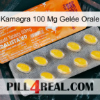 Kamagra 100 Mg Gelée Orale new05